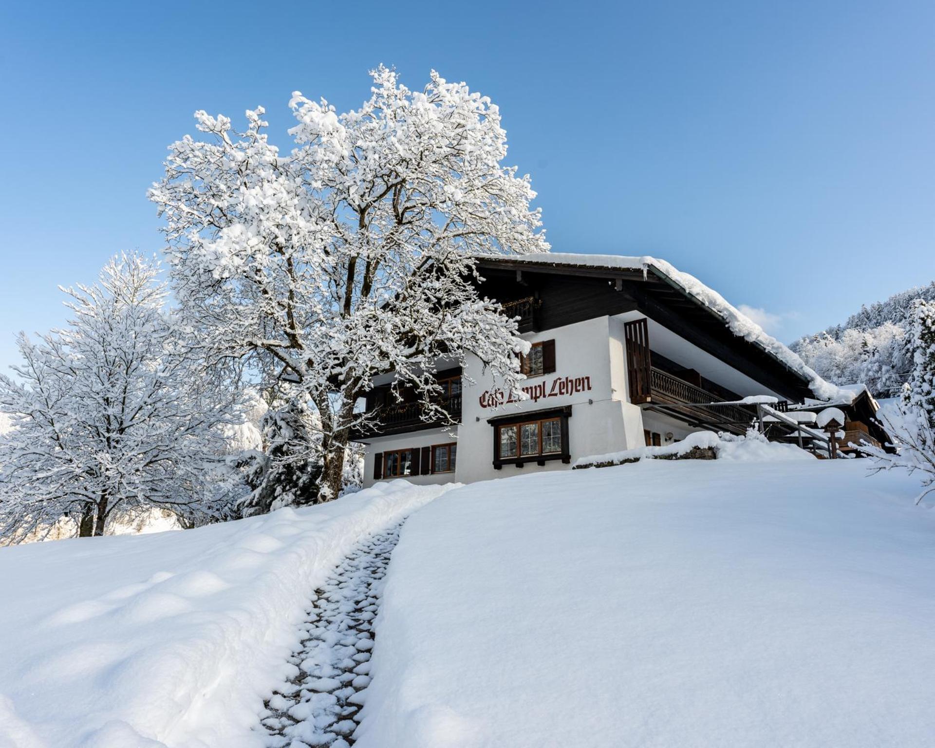 Hotel & Chalets Lampllehen Marktschellenberg Extérieur photo